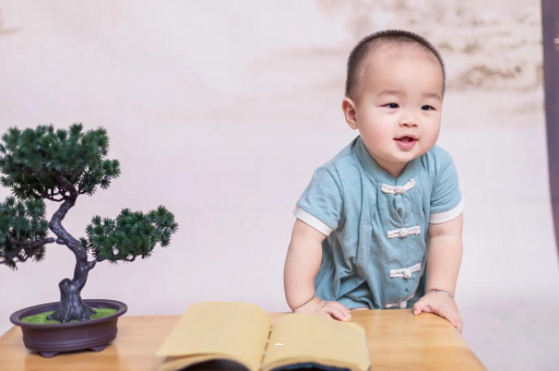 伊春可爱的企鹅宝宝